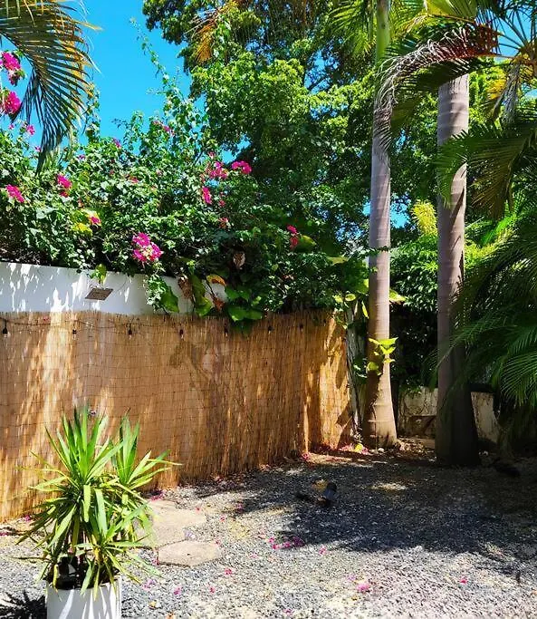 Apartament Garden Art Studio San Juan